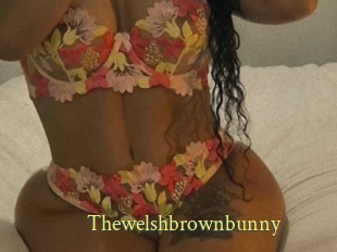 Thewelshbrownbunny