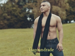 Tiagoandrade