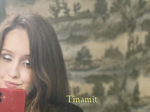 Tinamit