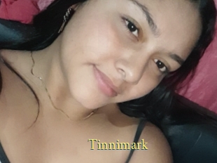 Tinnimark