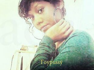 Toypussy