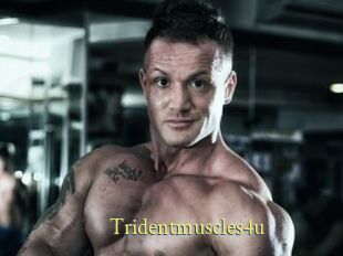 Tridentmuscles4u