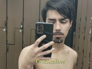 Twunkmikee