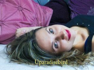 Uparadisebird