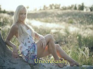 Ursecretsandy