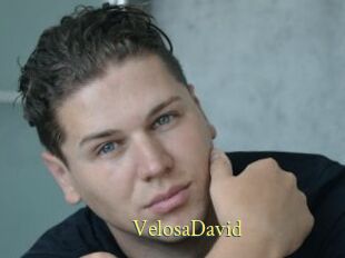 VelosaDavid