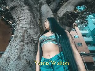 Venus_Walton