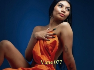 Vane_077