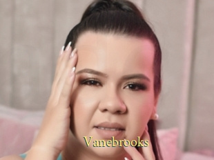 Vanebrooks
