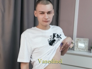 Vaneslinel