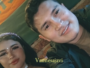 Vannesajavi