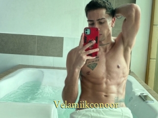 Velamiikconoor