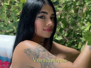 Venusbrownie