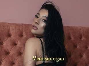 Venusmorgan