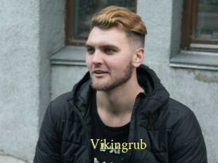 Vikingrub
