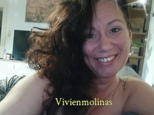 Vivienmolinas