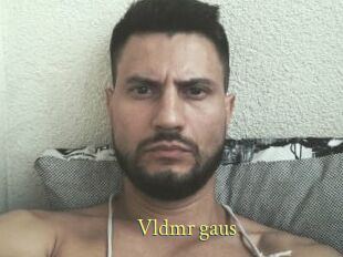 Vldmr_gaus