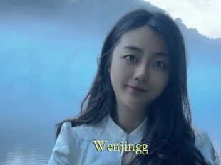 Wenjingg
