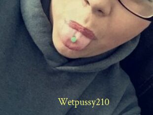 Wetpussy210