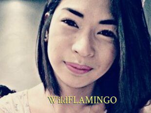 WildFLAMINGO