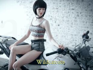 Wildcatcute