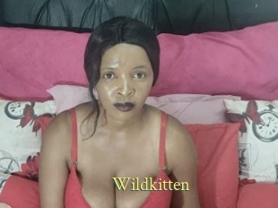 Wildkitten