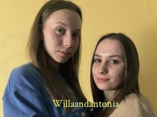 Willaandantonia