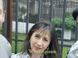 Workingteam