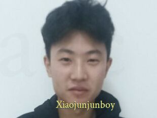 Xiaojunjunboy