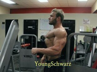 YoungSchwarz