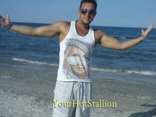 YourHotStallion
