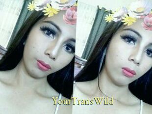 YourTransWild