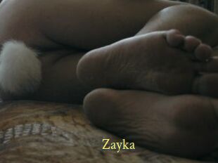 Zayka