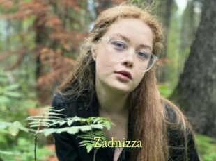Zadnizza